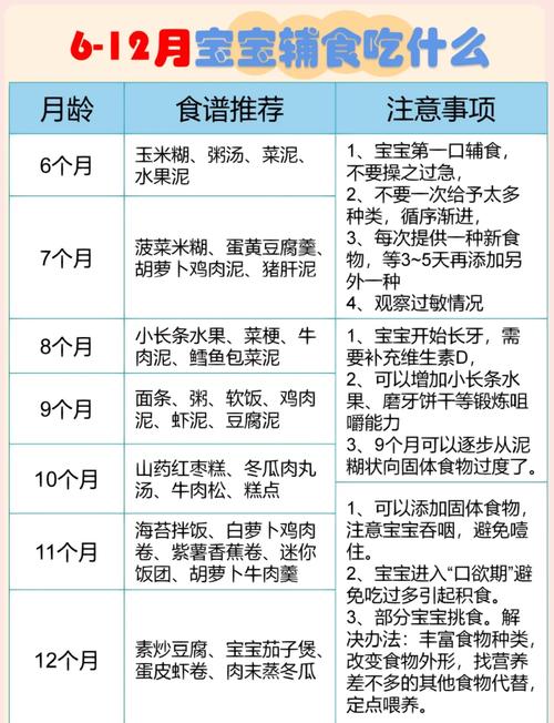 便宜代怀咨询:宝宝初期辅食怎样添加